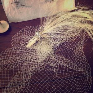 Lilliput Hats Birdcage Veil